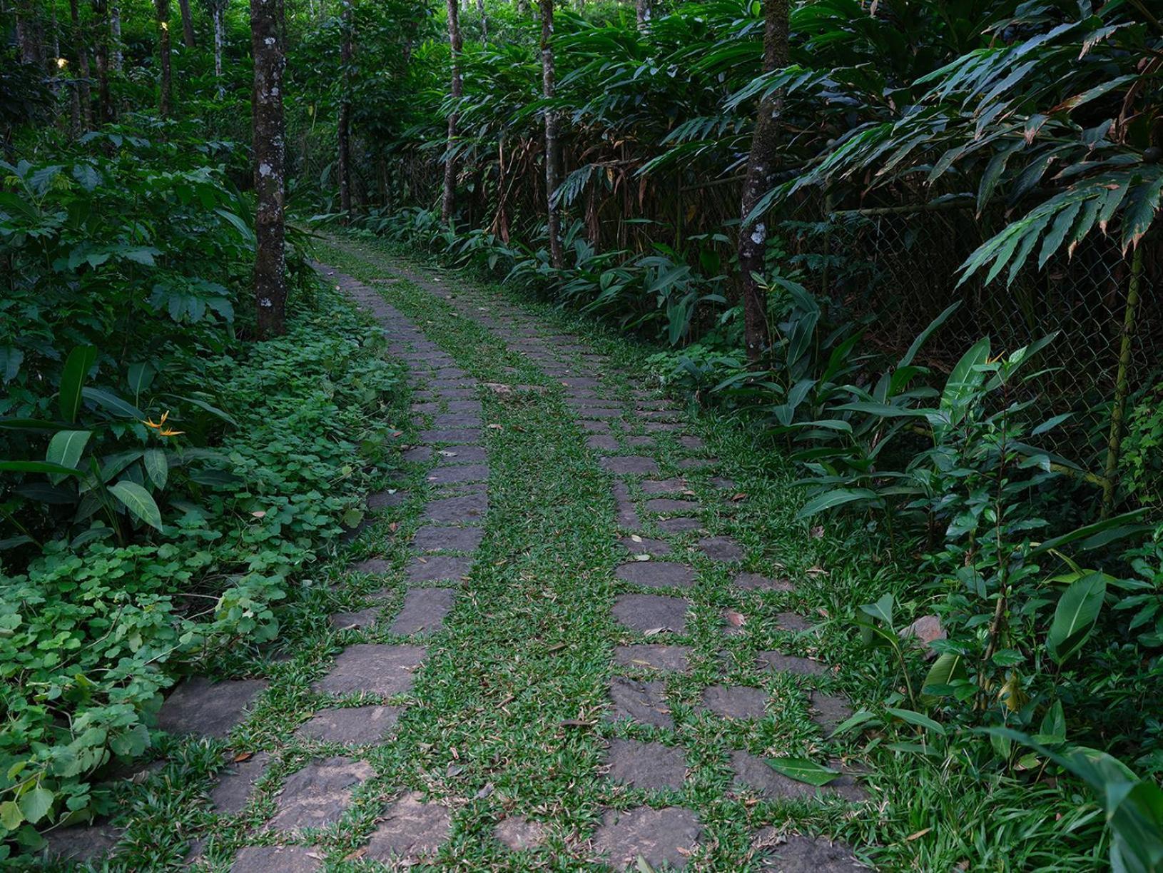 Mystic Mayapott, Thekkady Exterior photo